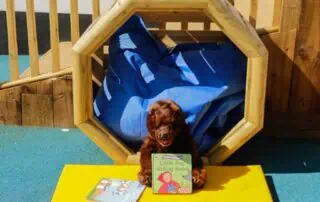 reading and play outside reading and play outside